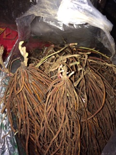 Củ hoa Ông lão