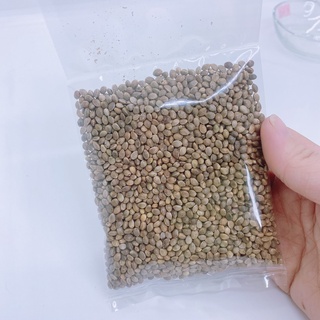 HẠT LÁNG CHO HAMSTER, CHIM