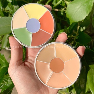 Che khuyết điểm KRYOLAN CONCEALER