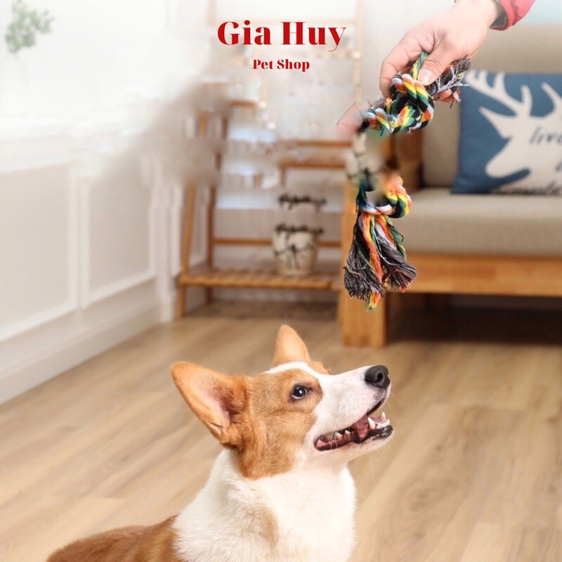 Đồ Chơi Dây Vặn Thừng Cho Chó