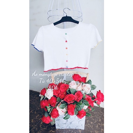 Áo mongtegi dáng croptop