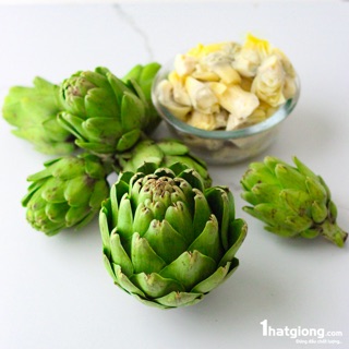 Hạt giống hoa Atiso