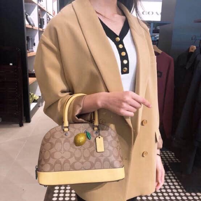 Túi Coach hến