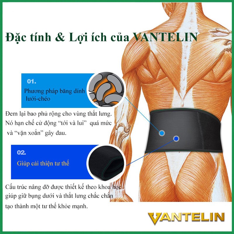 Đai bảo vệ cột sống VANTELIN, Số 1 Nhật Bản, giảm đau lưng, cố định cột sống, giảm thoái hóa, thoát vị đĩa đệm