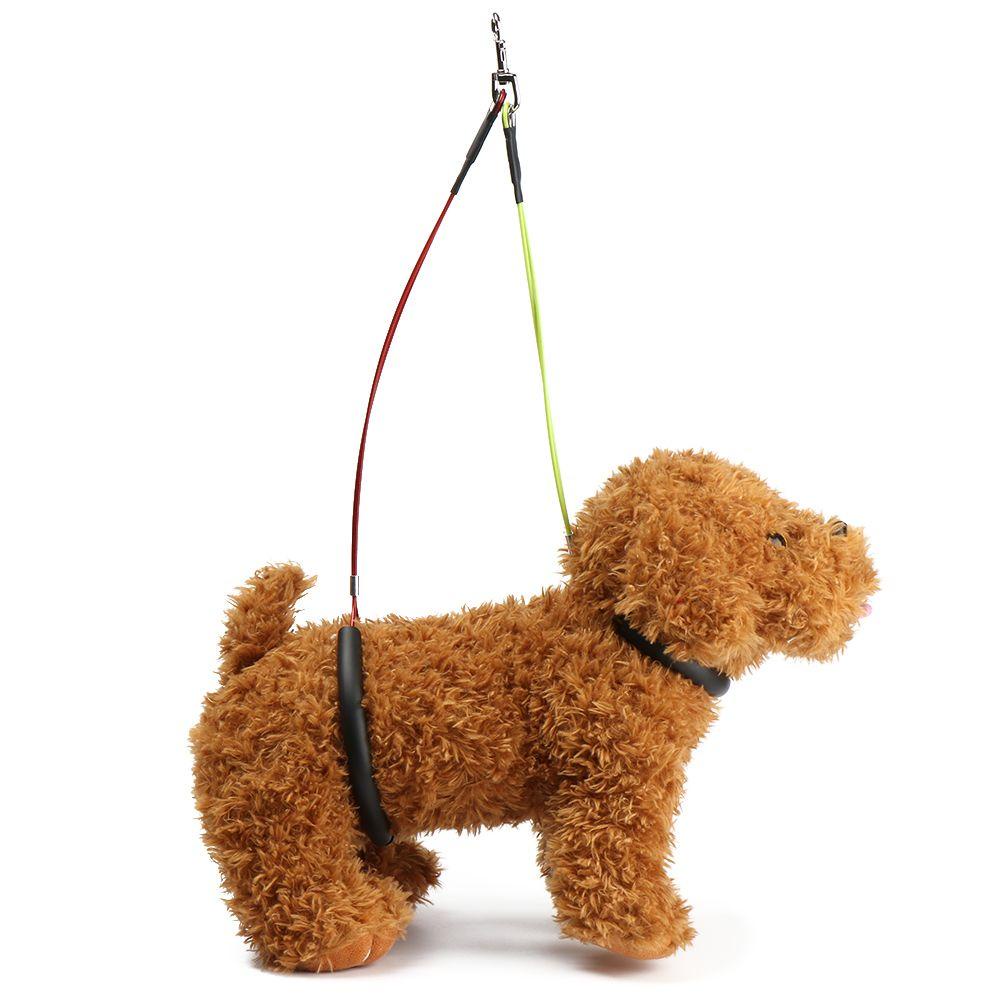 SUYO Giá Đỡ Huấn Luyện Thú Cưng Tiện Dụng