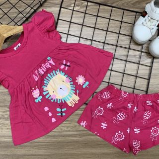 Combo Nguyễn Diệu Hiền
