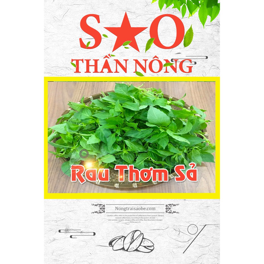 Hạt giống rau é trắng Sao thần nông nhanh thu hoạch