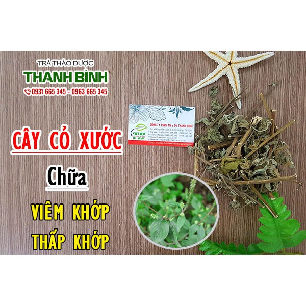 Cây Cỏ Xước 100g - Đảm Bảo Chất Lượng Loại 1