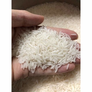 GẠO TÁM CAMPUCHIA - TÚI 5KG