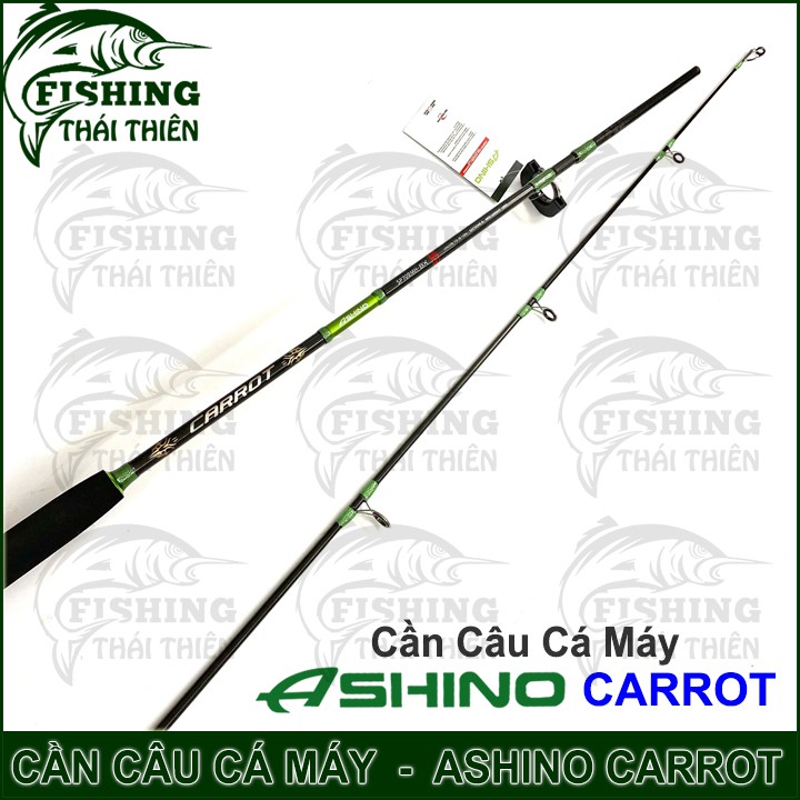 Cần câu cá Ashino Carrot Cần 2 khúc máy đứng cán hở dòng mới 2m1, 2m4, 2m7, 3m0