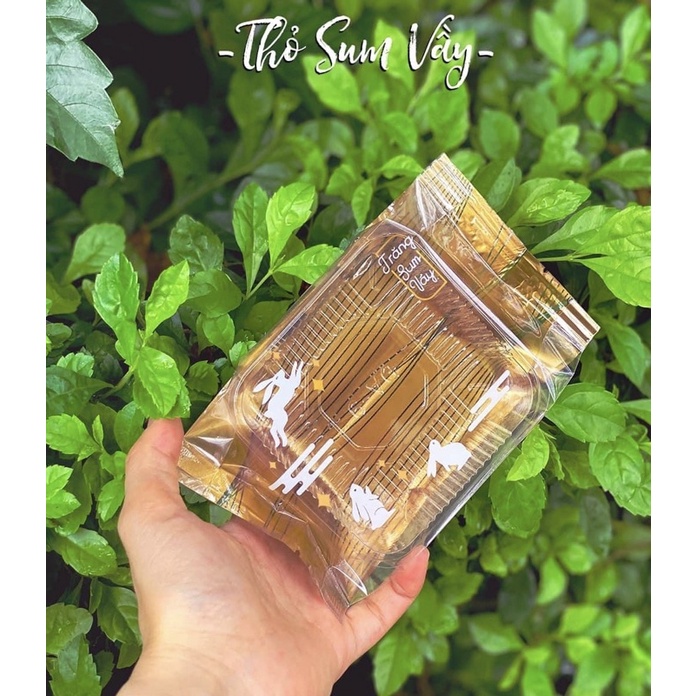 Túi đựng bánh trung thu 150g - 200g (10 cái)