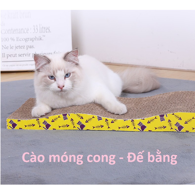 Bàn Cào móng cho mèo Loại Cong đế bằng size 43x22x35cm