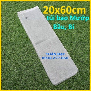 Túi bao mướp, bầu, bí , túi bao trái cây