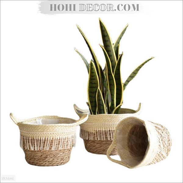 Giỏ Cói Đựng Đồ - Chậu Cói Trồng Cây Trang Trí Nhà Cửa Cao Cấp - Shop Hohi Decor