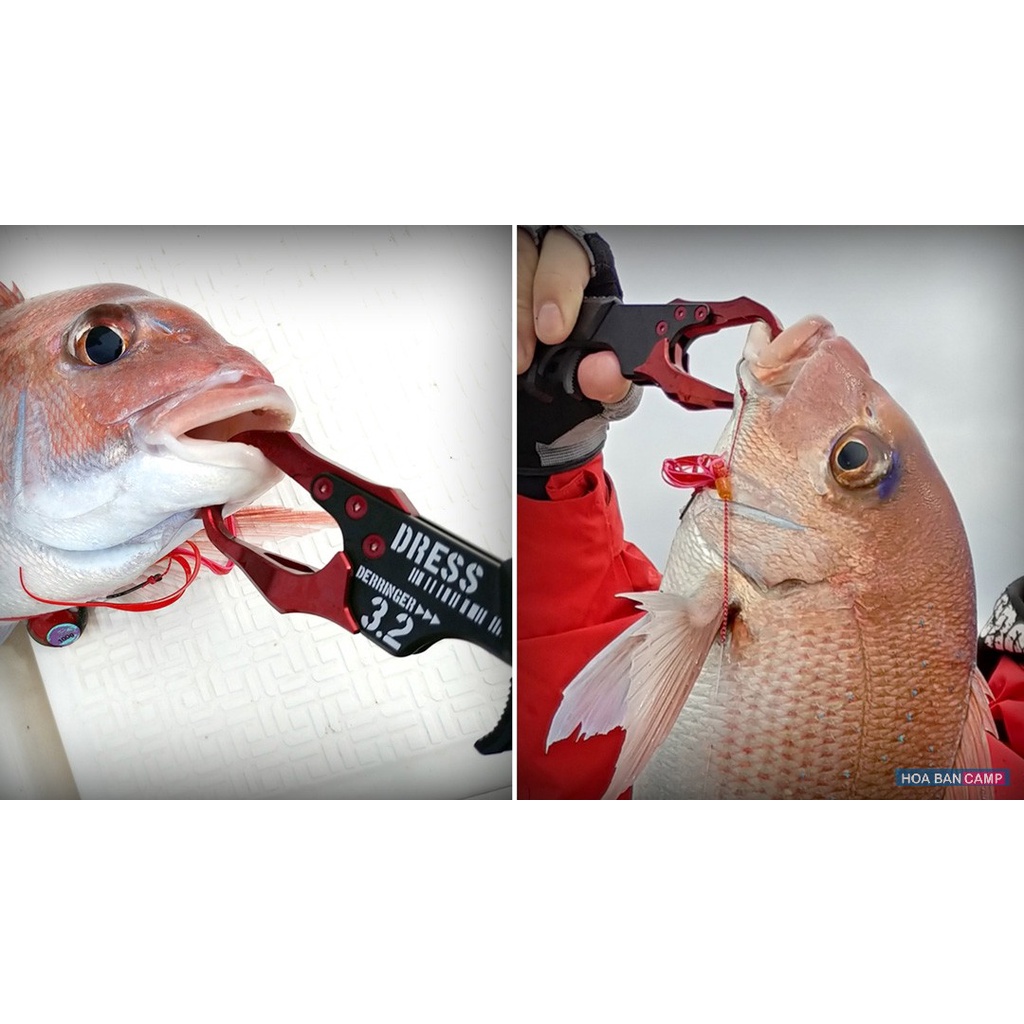 Kẹp Cá Dress Derringer 3.2