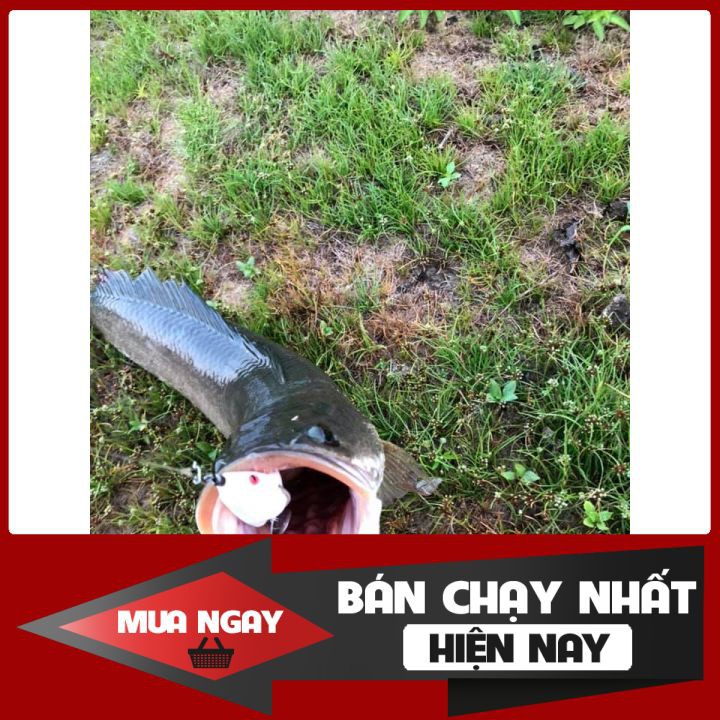 Mồi lure nhái hơi F35{ chìm - lững } HOẶC Body f35 Dòng sản phẩm nhái hơi TNTLures chuyên săn lóc,vược...