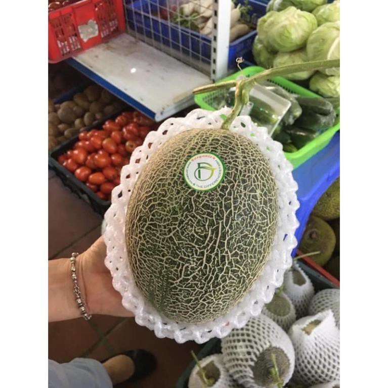 Hạt giống dưa lưới Ichiba Nhật Bản gói 10 hạt