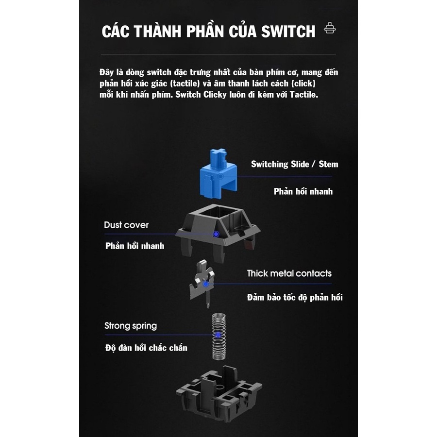 Bàn phím cơ PANTSAN PK200 blue switch,Layout full size 104 phím LED rainbow
