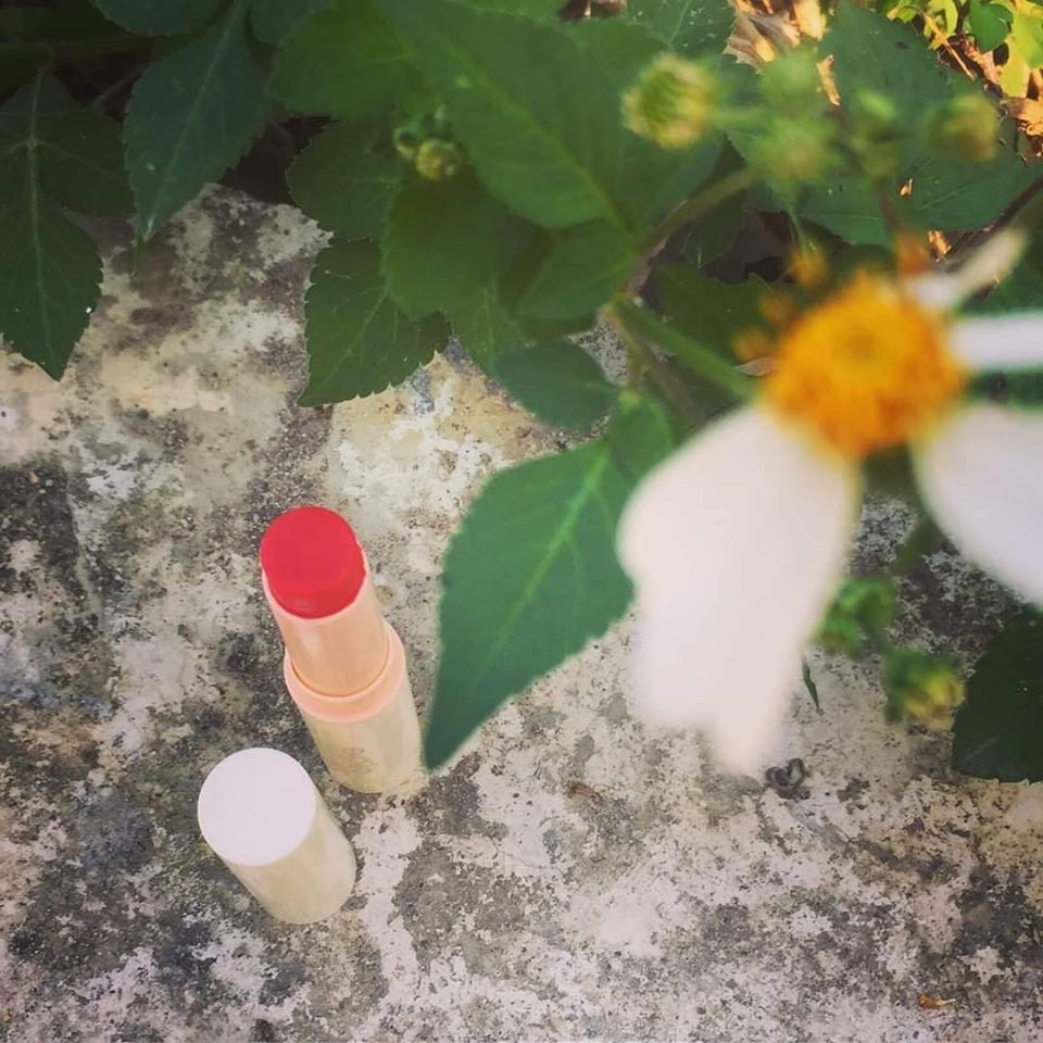 💄 💋  Son dưỡng nghệ Haldi - Epis Màu Đỏ Cam 💄 💋 | BigBuy360 - bigbuy360.vn