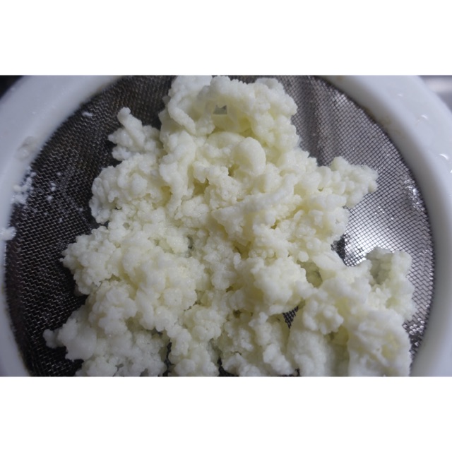 Nấm sữa Kefir, Kefir milk