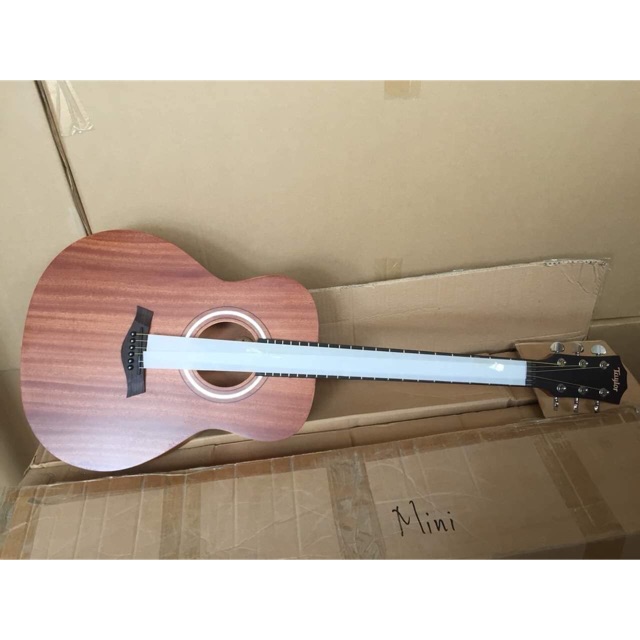 Guitar Taylor Gsi