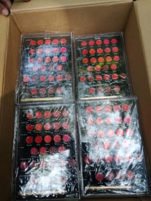 Hót bảng son lì 26 màu rohto new2020 tặng kèm móc khóa | BigBuy360 - bigbuy360.vn