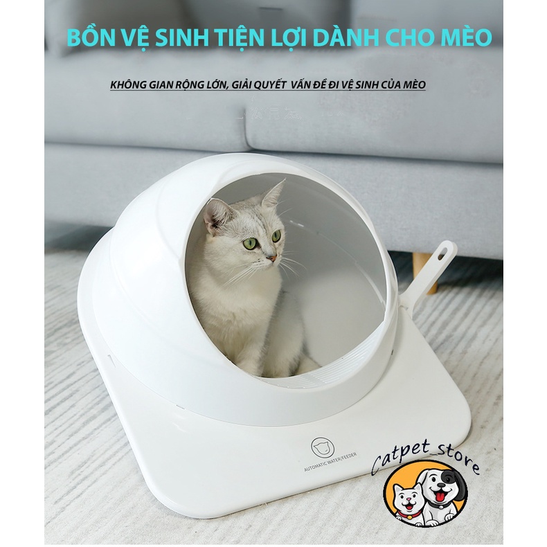 Bồn vệ sinh chó mèo hình cầu, bồn vệ sinh thú cưng hình cầu