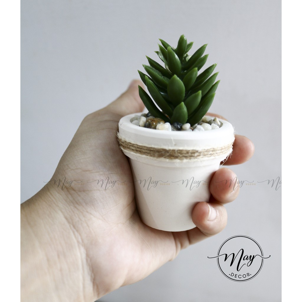 Cây giả - Chậu cây mini size 5cm - trang trí, chụp ảnh, quà tặng ý nghĩa