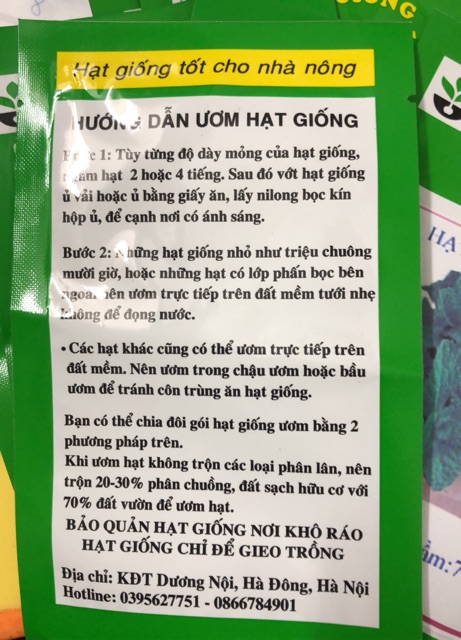 Hạt giống Húng bạc hà  ☘️