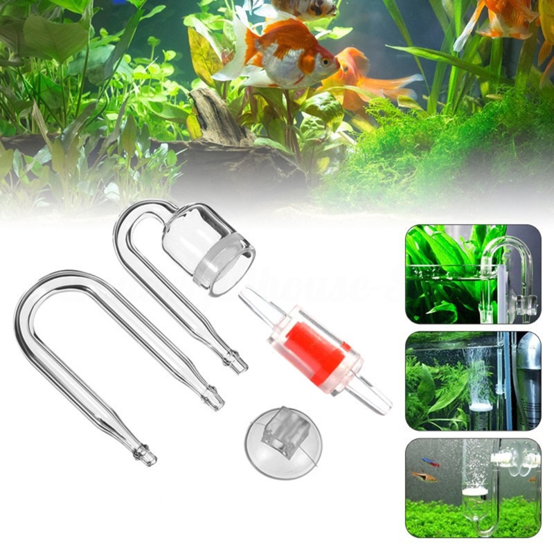 Bộ Khuếch Tán CO2 Cho Bể Cá Kích Thước Nano Với Van Kiểm Tra Gla