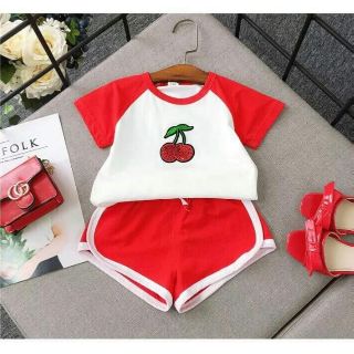Bộ cộc hoa quả cho bé