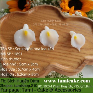 Set khuôn silicon hoa loa kèn 1891