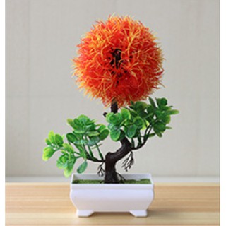 Combo 3 chậu hoa tú cầu trang trí