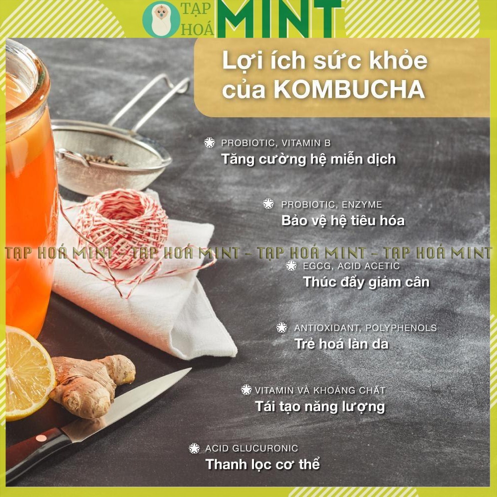 Con giống Scoby làm trà Kombucha - Tạp hoá mint