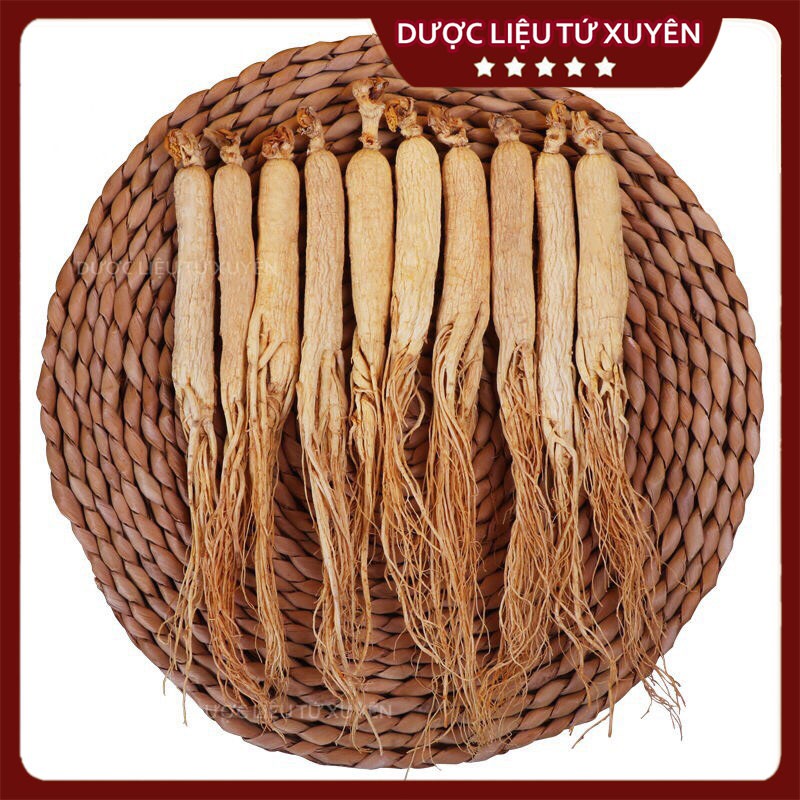 Nhân Sâm Cát Lâm  Size To, Đẹp, Thơm Hộp to 60g