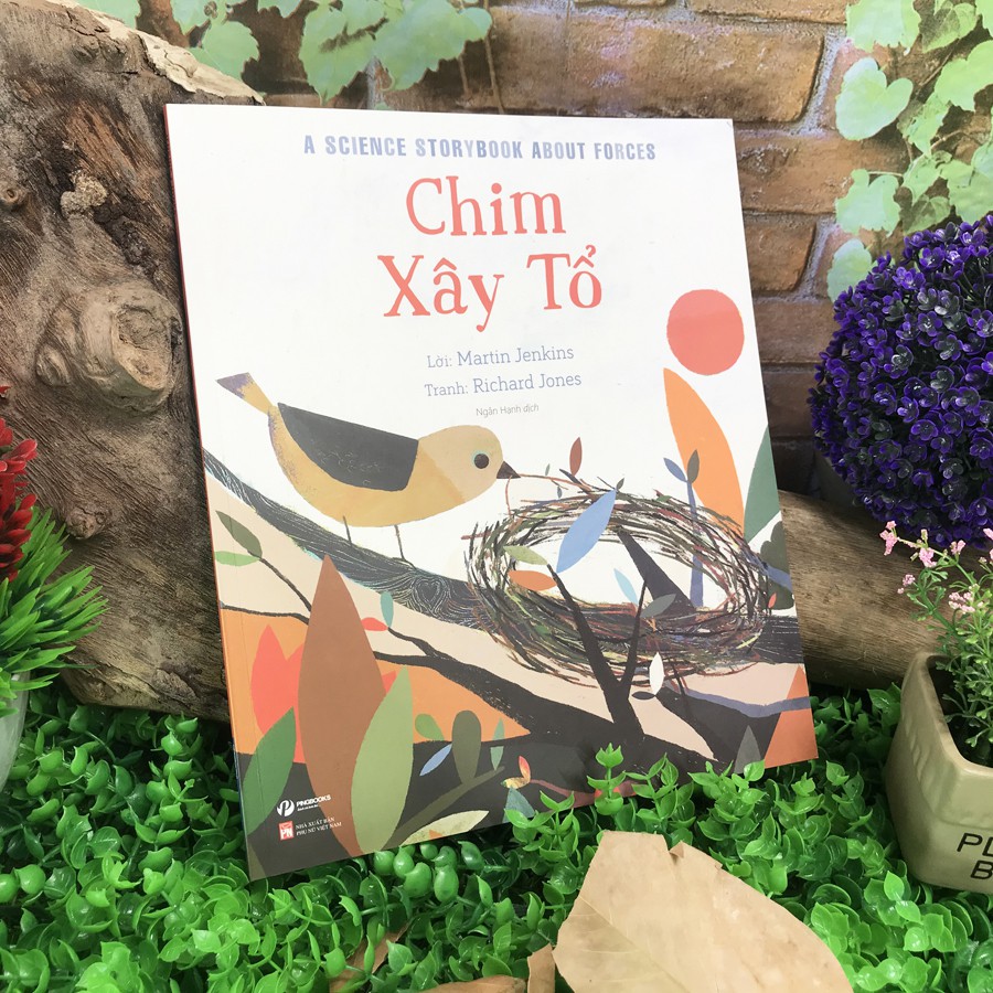 Sách - Câu Chuyện Khoa Học: Chim Xây Tổ