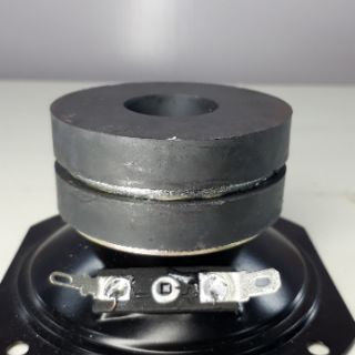 2 loa tép 10  từ kép