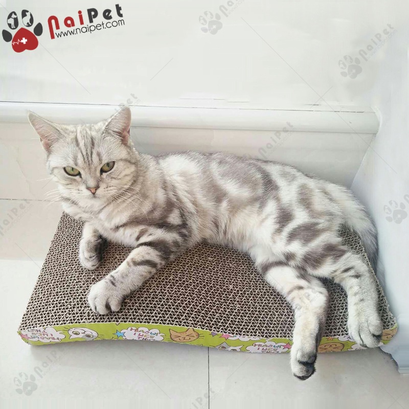 Đồ Chơi Bàn Cào Móng Bằng Carton Cho Mèo.