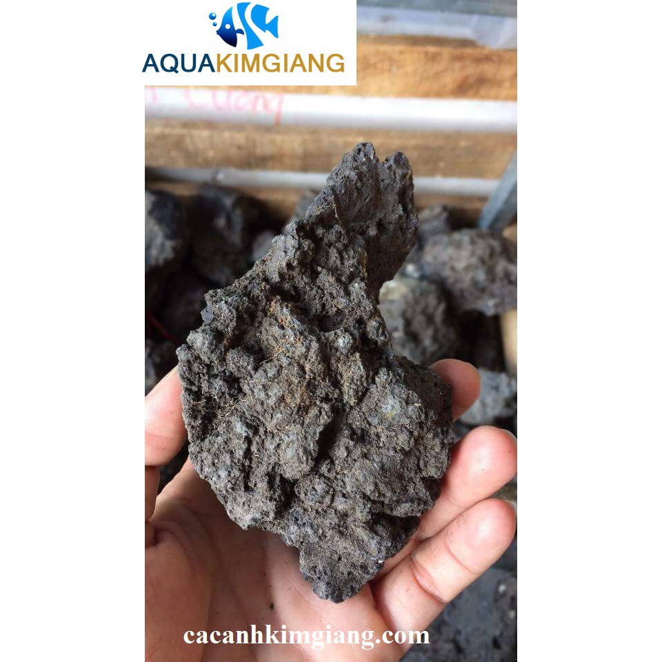 Đá đen gia lai trang trí set hồ cá , hồ thủy sinh