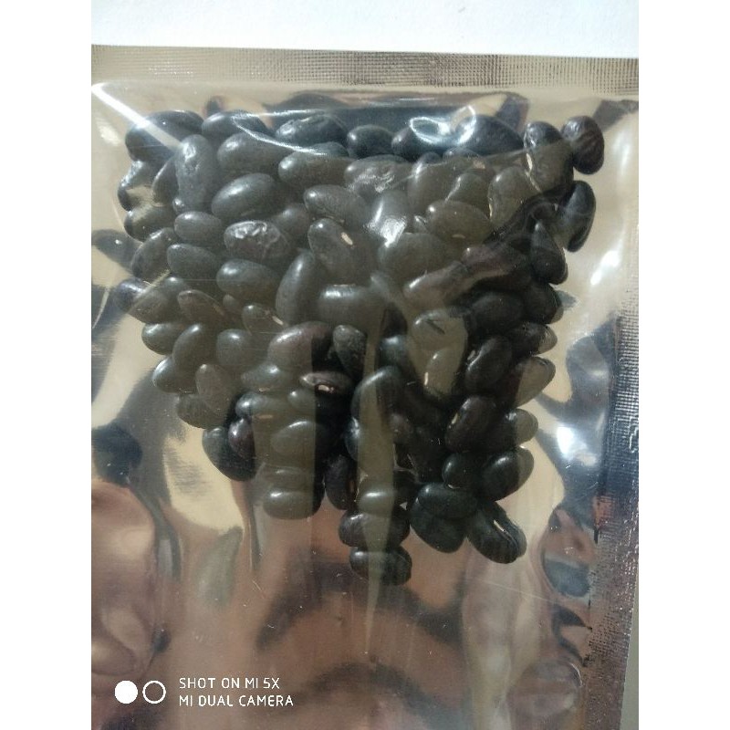 Gói 15 gram hạt giống đậu cove vàng