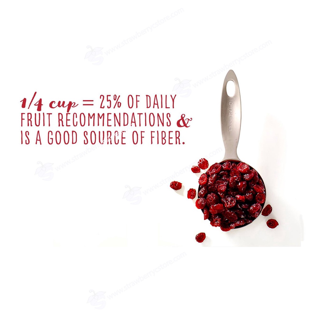 Nam Việt Quất Sấy Khô Vị Tự Nhiên Ocean Spray Craisins Original Dried Cranberries, Gói 170g