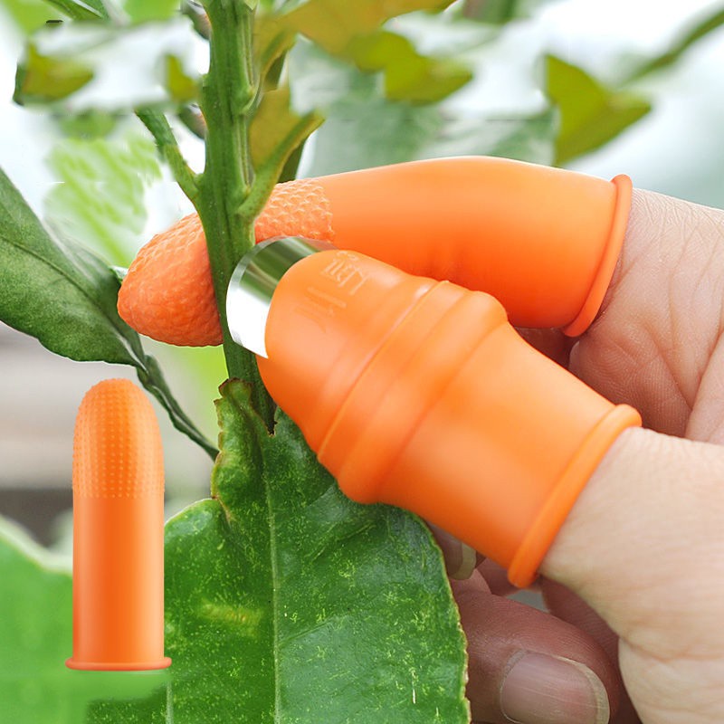 Ngón cái bấm cắt rau củ - nạo gọt tiện lợi chống bẩn móng tay Bộ Móng Nhặt Rau Củ Quả