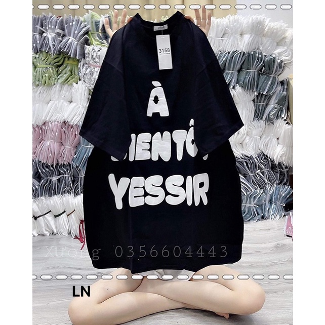 Áo phông BIEN TÔT DA6