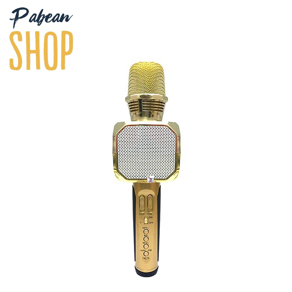 Micro Karaoke Bluetooth kèm loa SDRD SD-10