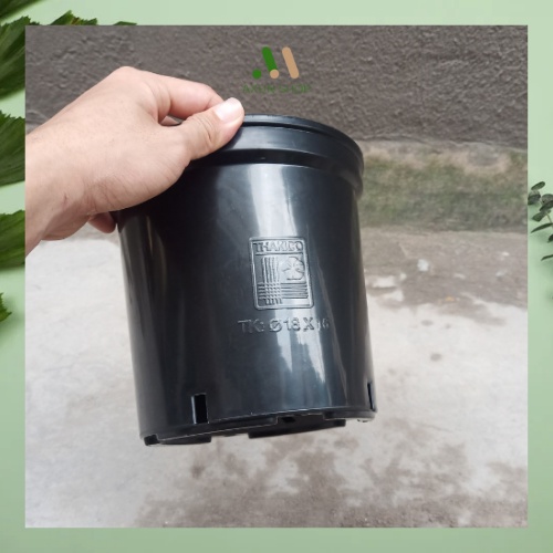 Chậu nhựa cứng tròn đen Thakico trồng cây trong nhà, kiểng lá, các loại hoa kiểng size 18x16 giá xưởng