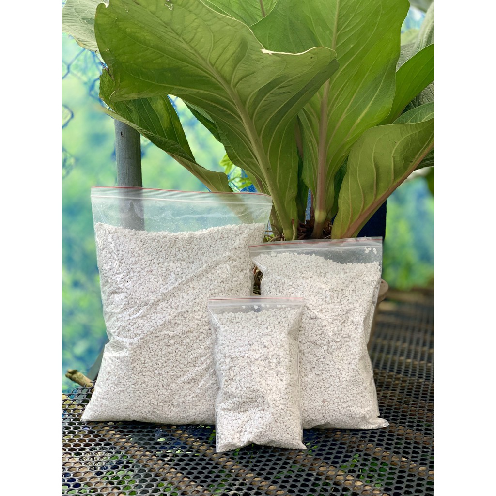 Đá Perlite bao lớn 700gr tiết kiệm đá trân châu