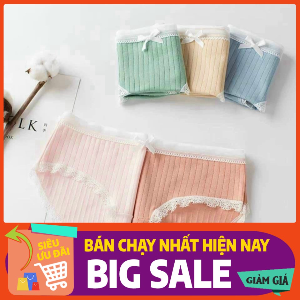 Sỉ Quần Lót Nơ Cotton Nữ Phối Ren Chất Đẹp cực Gợi cảm Rẻ Nhất Thị Trường