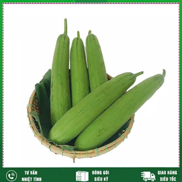 Hạt giông Mướp Hương 2g, Loại rất thơm Nhất Việt