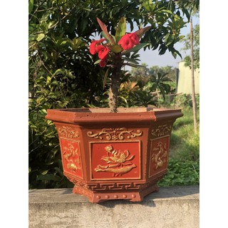 Khuôn lục giác 25 : khuôn đúc chậu ABS mini , bonsai