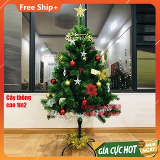 Cây thông noel 1m2 lá xanh dày loại đẹp, sx theo Công nghệ Hàn Quốc